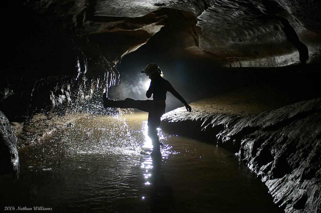 disruption of silence 